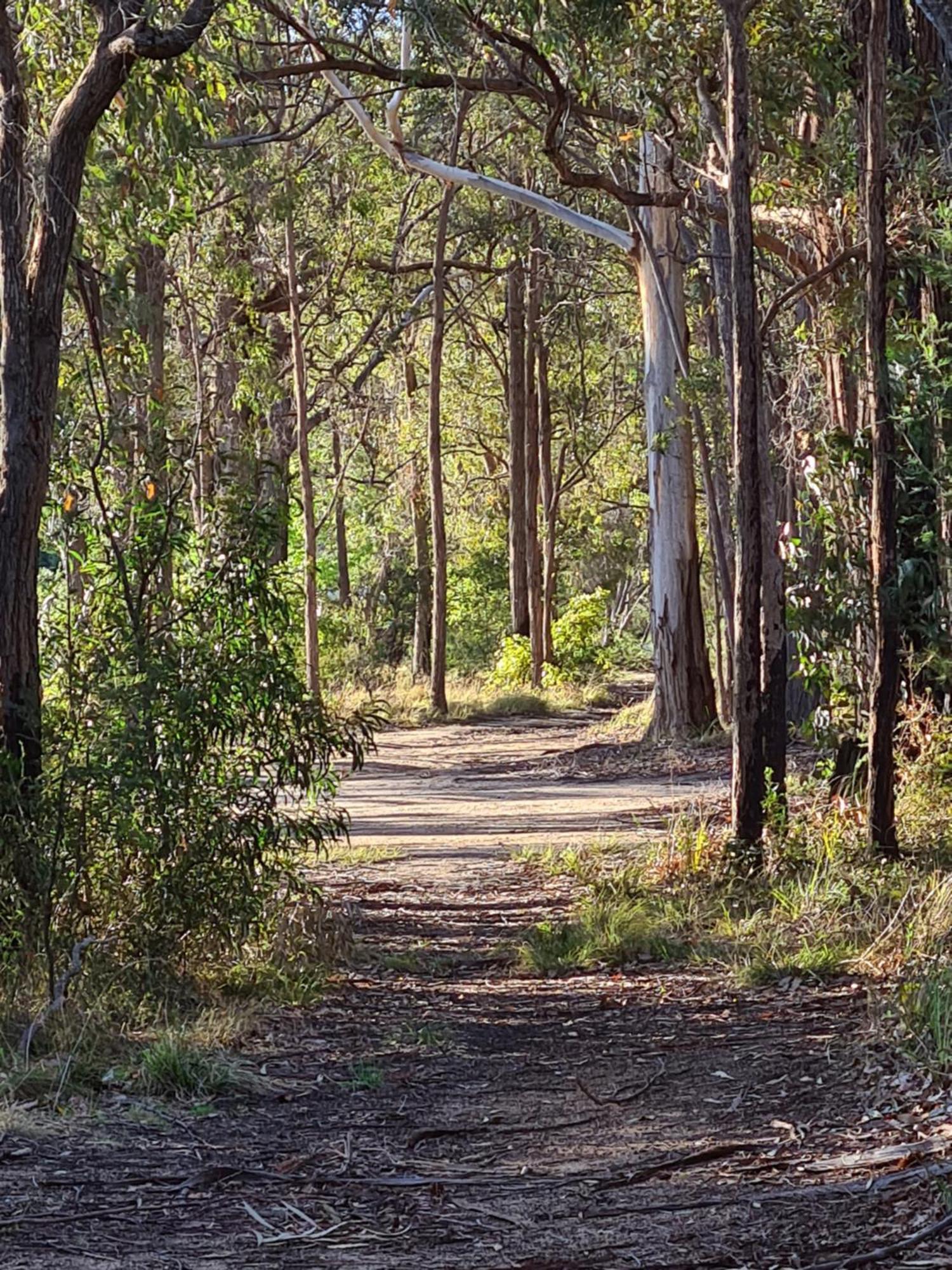 Mallacoota'S Shady Gully Caravan Park 외부 사진