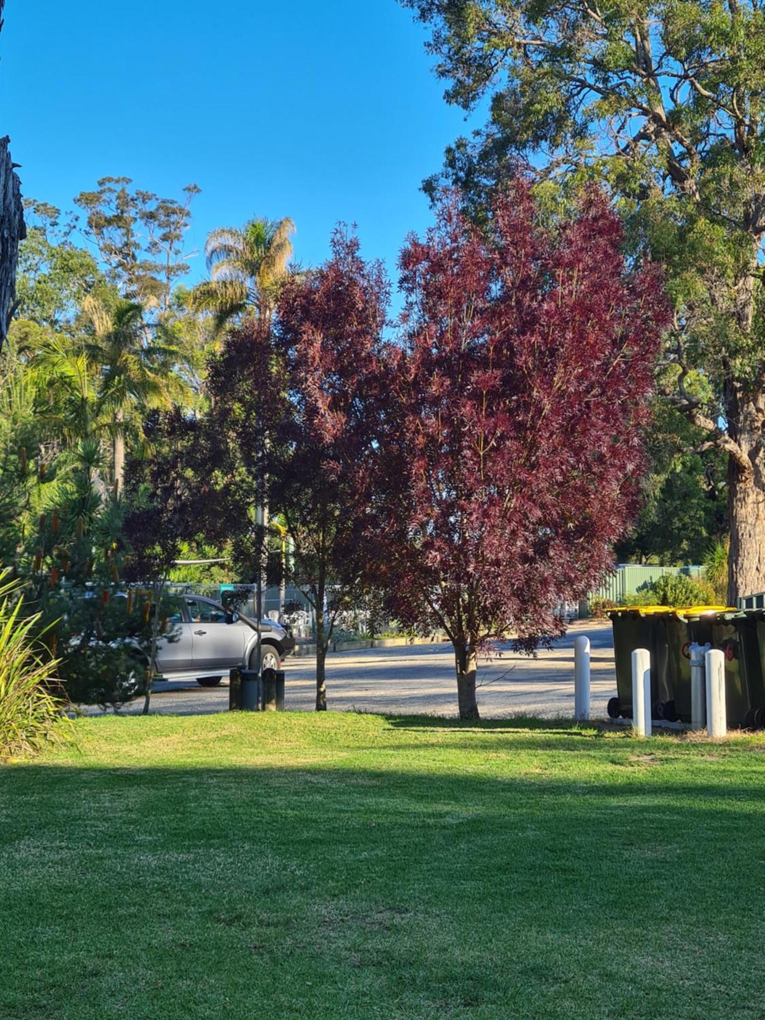 Mallacoota'S Shady Gully Caravan Park 외부 사진