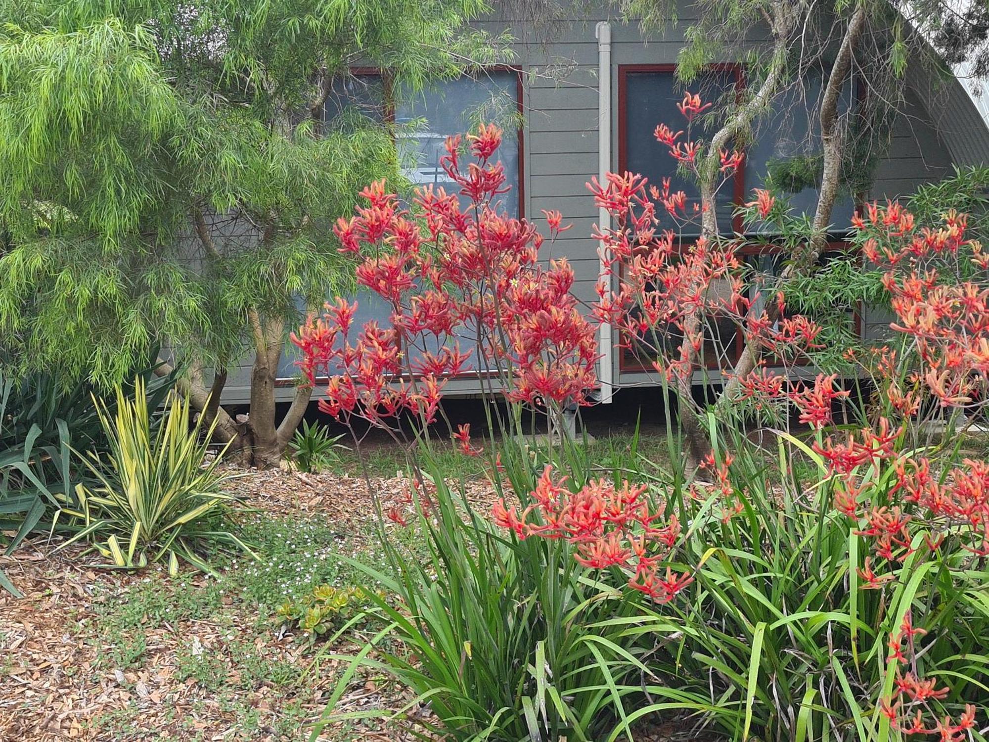 Mallacoota'S Shady Gully Caravan Park 외부 사진