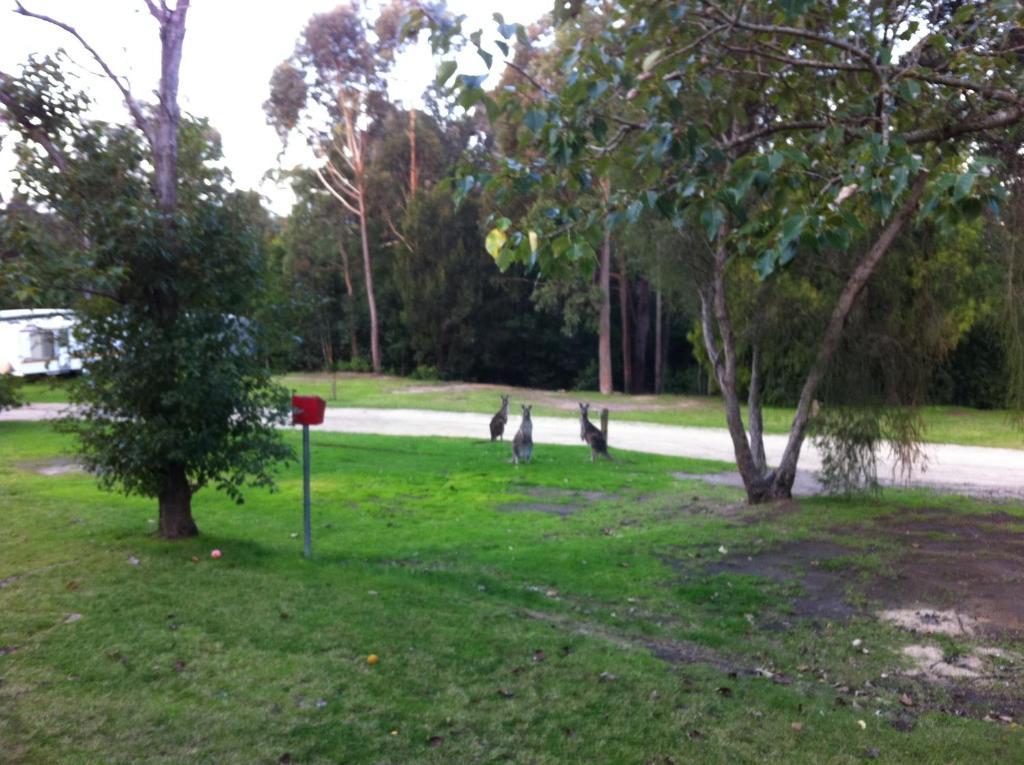 Mallacoota'S Shady Gully Caravan Park 외부 사진