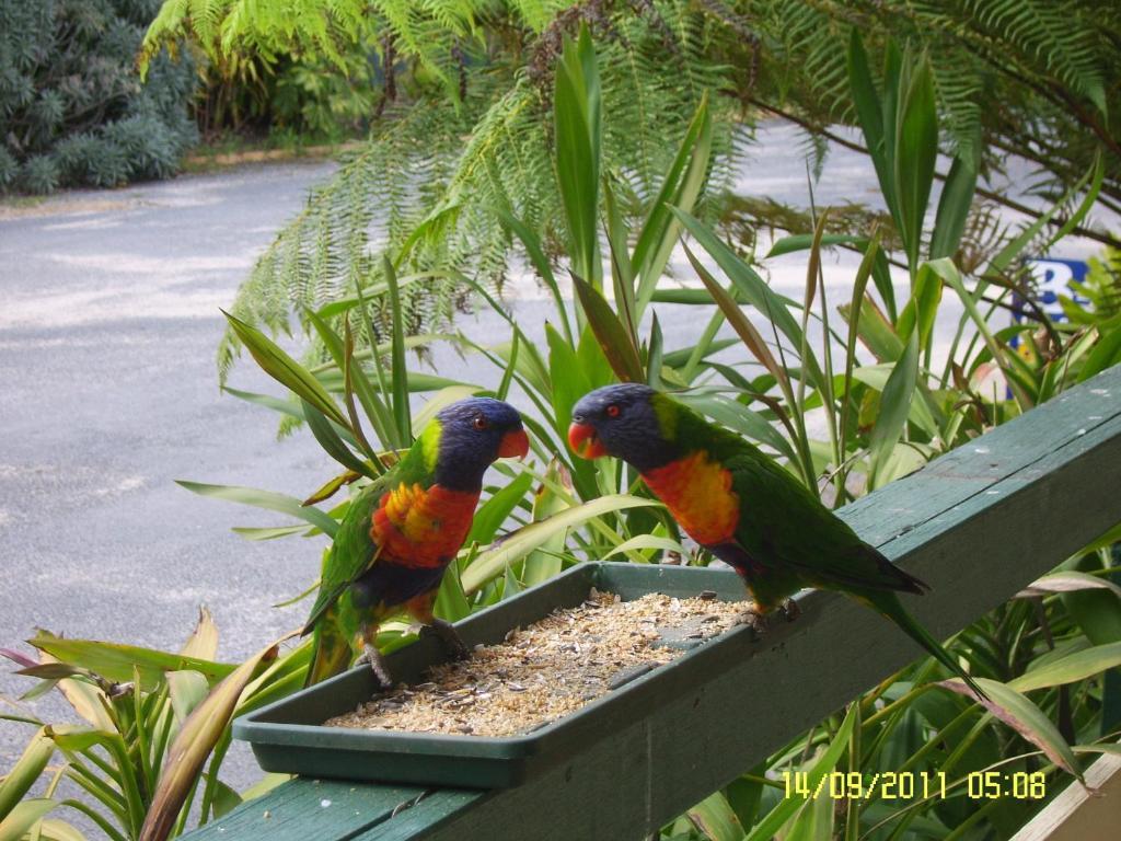 Mallacoota'S Shady Gully Caravan Park 외부 사진